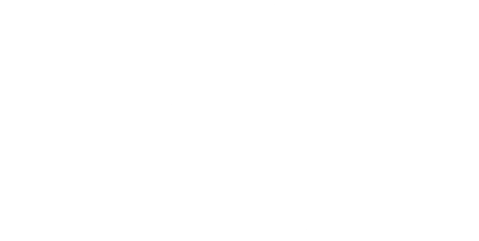 Volta Lingerie
